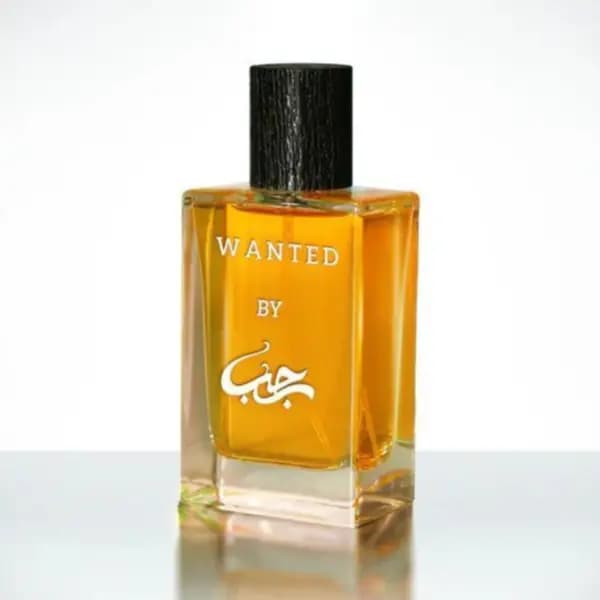 Wanted Long Lasting Citrus Woody Perfume for Men - 50 ml